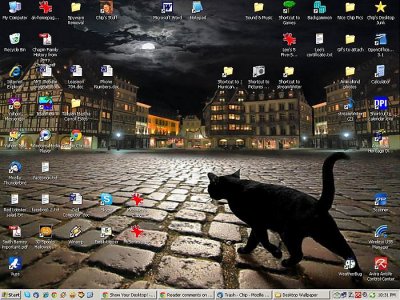 Cat wallpaper.jpg