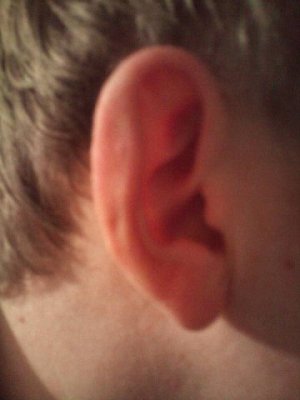 ear1.jpg