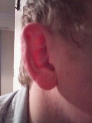 ear2.jpg