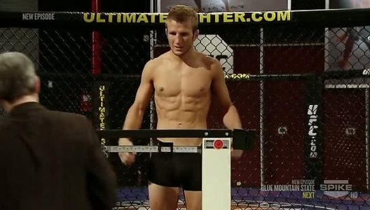 ultimate fighter 67.jpg