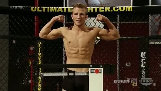 ultimate fighter 68.jpg