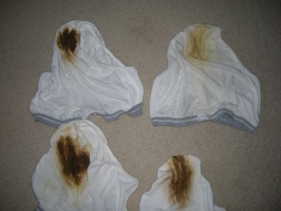 My_Skids_11.30.07_007[1] (2).jpg