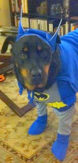 buster batman2Master.jpg