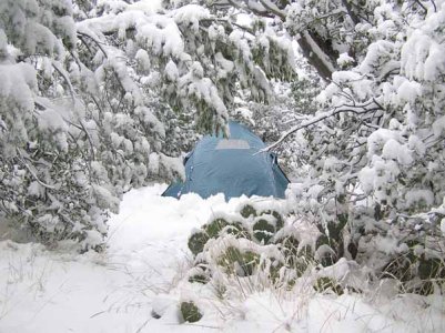 BB_snow_tent.jpg