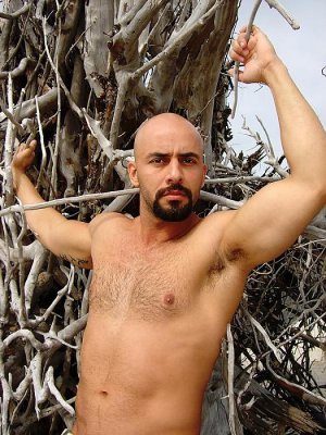 North Captiva Isle2.jpg