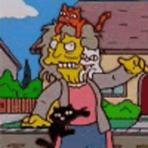 ani cat lady.gif