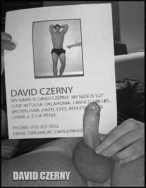 (2010)_Dave_Poster.jpg