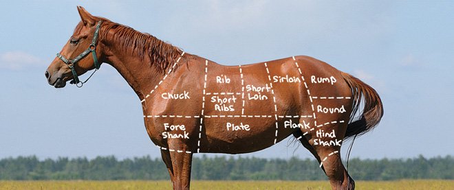 horse-meat.jpg