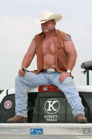 texasbear.jpg