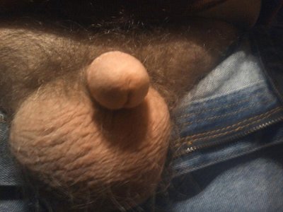 2012-02-08 18.13.08.jpg