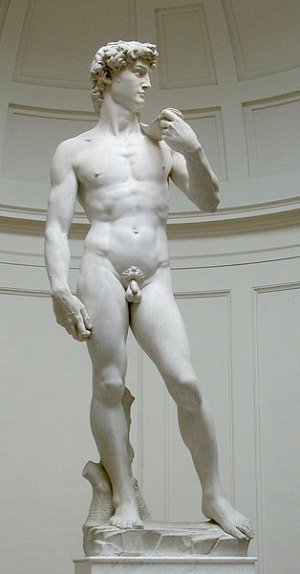 314px-David_von_Michelangelo.jpg