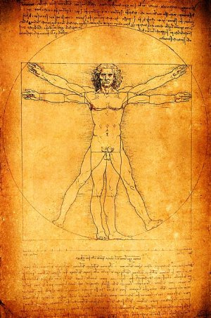 vitruvian-man.jpg