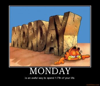 monday-monday-waste-awful-demotivational-poster-1281971152.jpg