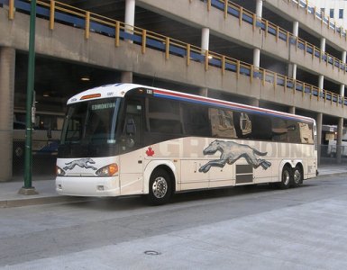 GreyhoundCanada.jpg