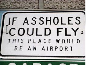 If Assholes Could Fly.png If Assholes Could Fly.png