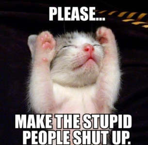 Make Stupid People Shut Up.png Make Stupid People Shut Up.png