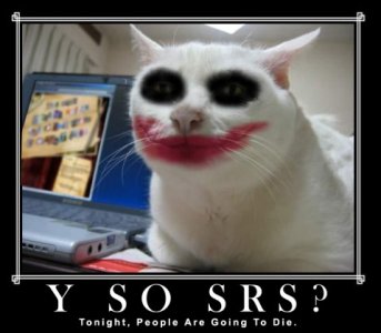 serious-cat-joker-479x419.jpg