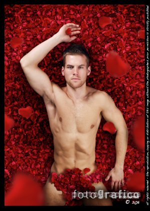 American Beauty Remixed!.jpg