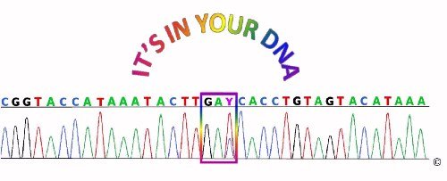 G-DNA.jpg