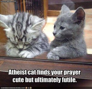 AtheistCat.jpg