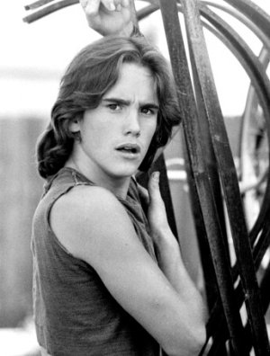 Matt Dillon.jpg