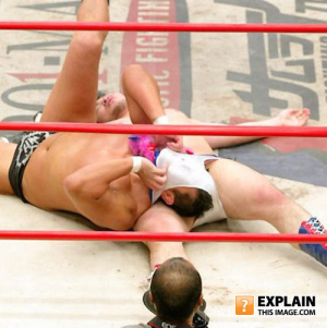 wrestler.png