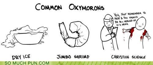 funny-puns-christian-science.jpg