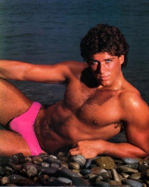 ChippendalesCalendar198502.jpg