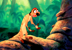 incredulous timon.gif
