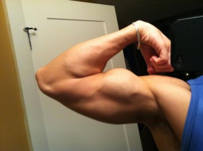 bicep photo June15.jpg bicep photo June15.jpg