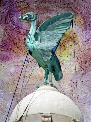 liver bird.jpg