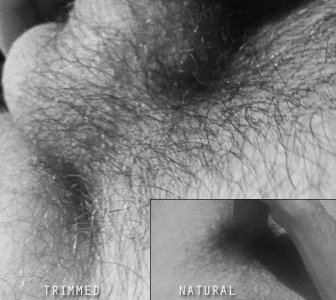 pubes.jpg