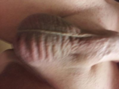 20120727_120449.jpg 20120727_120449.jpg