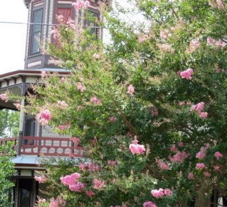 July 4, 2007 010.jpg