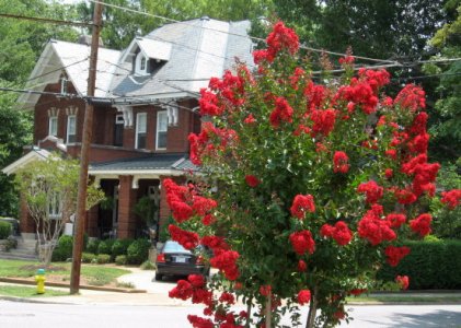 July 4, 2007 014.jpg