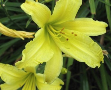 July 4, 2007 004.jpg