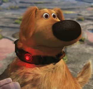 squirrel.jpg squirrel.jpg