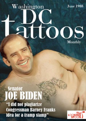 Joe Biden 1.jpg