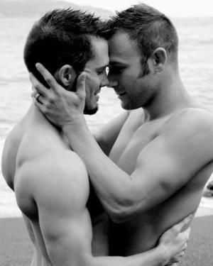gaylove_255B1_255D_large.jpg