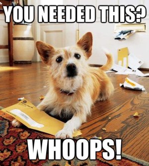 483074_288180644631575_89575609_n.jpg 483074_288180644631575_89575609_n.jpg