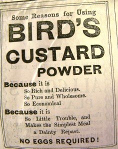 birds-custard.jpg