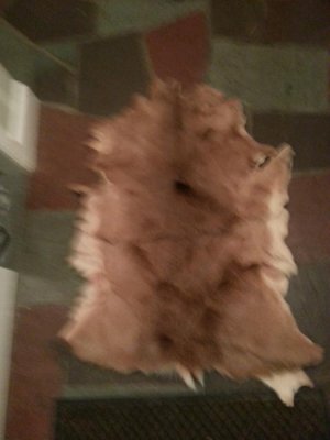 2012-11-17 21.00.38.jpg