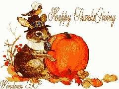 Thanksgiving buny.jpg Thanksgiving buny.jpg