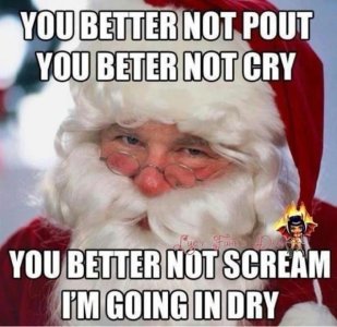 santa100.jpg