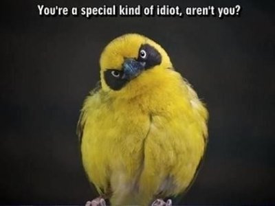 securedownload (5).jpg