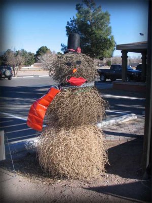 tumbleweed man.jpg