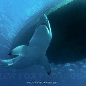 184516_10151366098966427_165256204_n.jpg 184516_10151366098966427_165256204_n.jpg