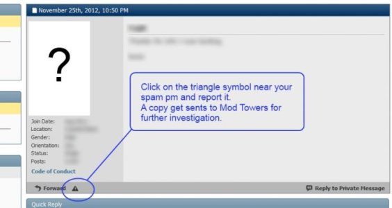 report.jpg report.jpg