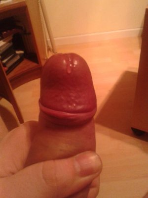 2013-03-25 05.23.21.jpg