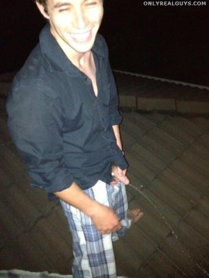 pissingonroof.jpg